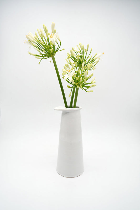 Vase grand modèle Chimera en grès tourné à la main de couleur blanche pouvant servir pour un bouquet de fleurs ou comme soliflore
production artisanale française à toulouse
made in france et occitanie
artianat et design engagé
Maison d'édition d'objets usuels du quotidien Bleu Comète valorisant et préservant les savoir-faire artisanaux locaux